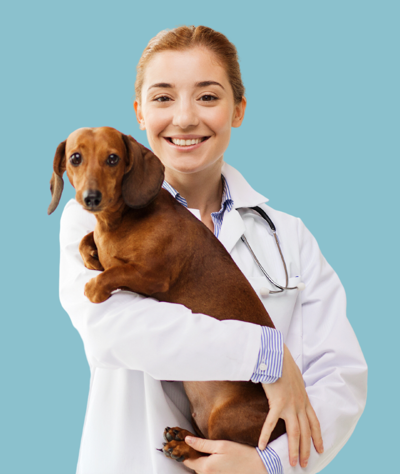 Humane Vet Hospital of San Diego|Emergency Pet Care