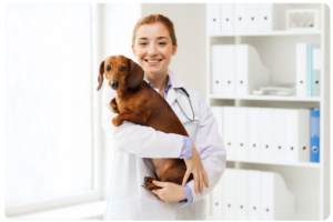 sick pet visits Spring Valley