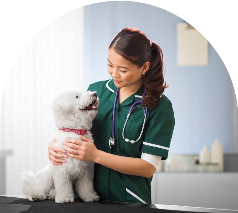 Humane Vet Hospital of San Diego|Pet Care Plan