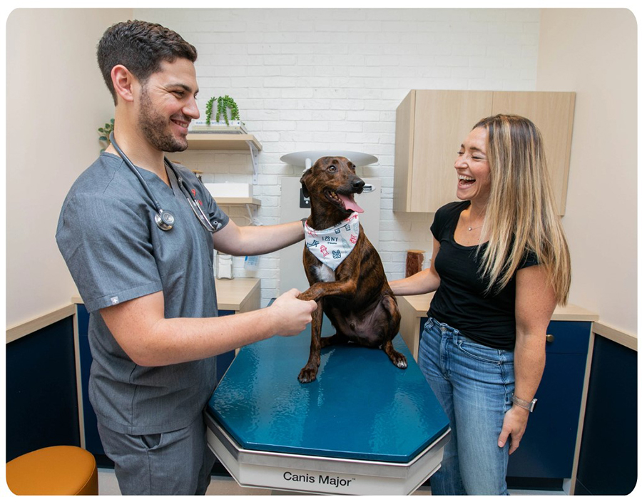 Humane Vet Hospital of San Diego|Contact Us Now