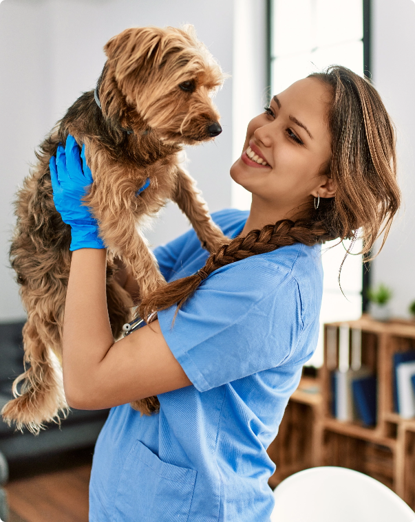 Humane Vet Hospital of San Diego|Cat & Adut Dog Vaccines, US