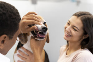 Humane Vet Hospital of San Diego | Bad Breath in Pets: Is It Time for a Dental Cleaning?