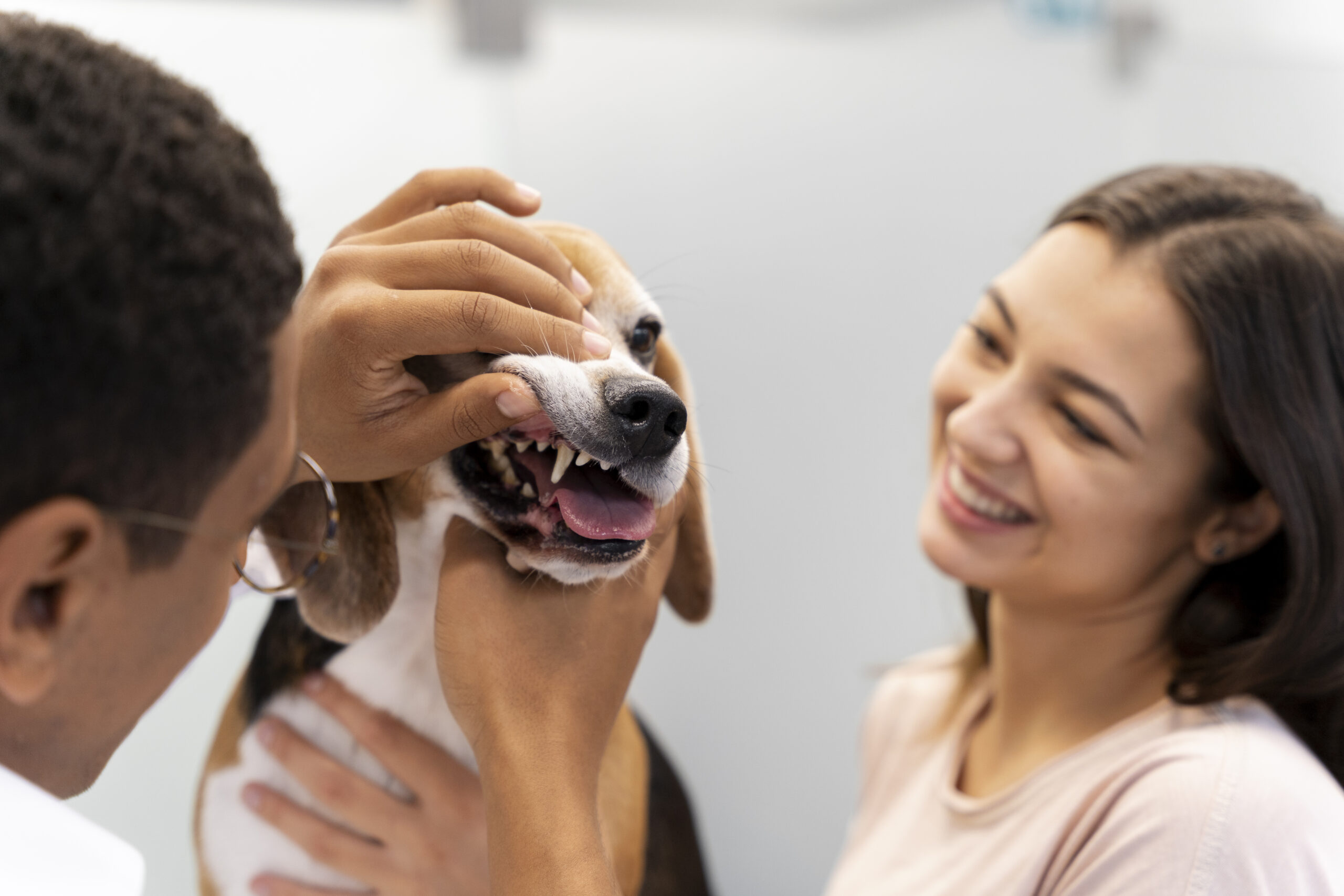 Humane Vet Hospital of San Diego | Bad Breath in Pets: Is It Time for a Dental Cleaning?