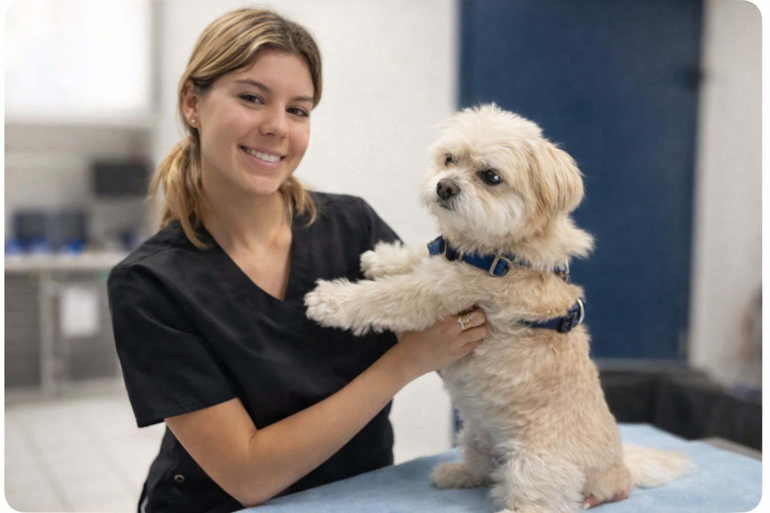 Humane Vet Hospital of San Diego|New Clients Offer